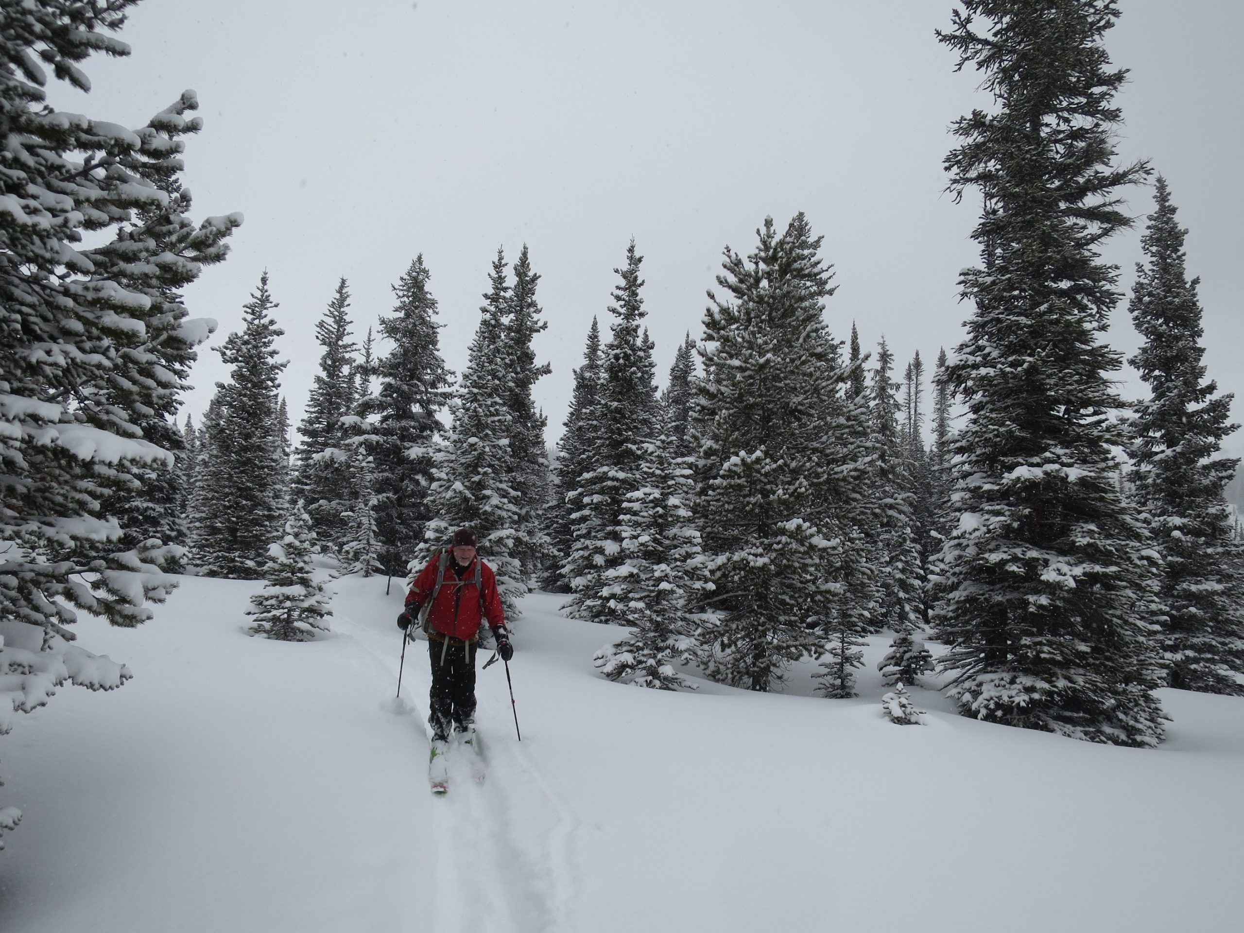 ResQLink+ Helps Injured Skier on the Snowy Slopes