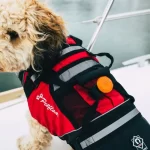 OLAS MOB Tag FOB for OLAS Guardian and N2K is perfect for dogs