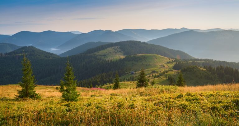 A Fall, a Beacon, and a Lifeline: An ANZAC Day to Remember