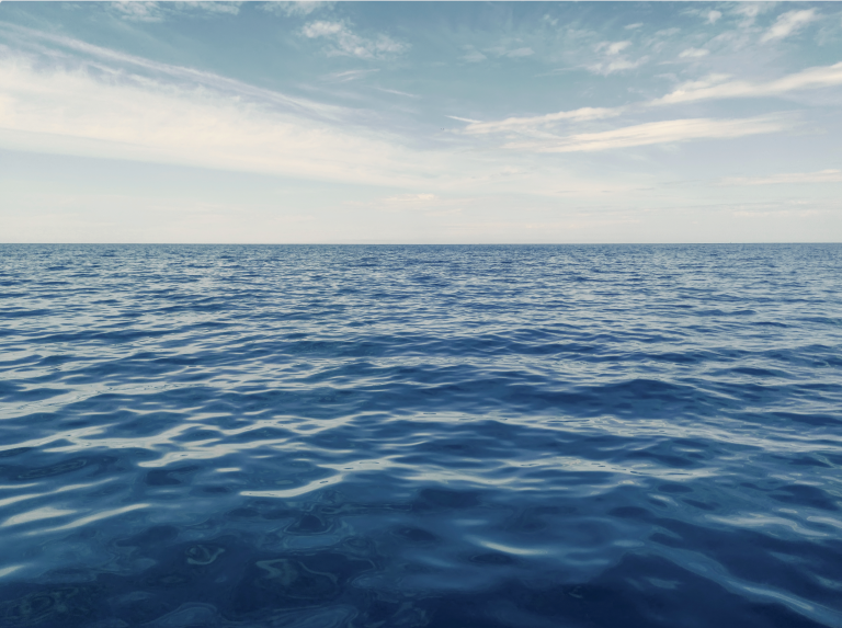 Lost at Sea, Found by Signal: The Crucial Role of Our ResQLink in a High-Speed Offshore Race Rescue