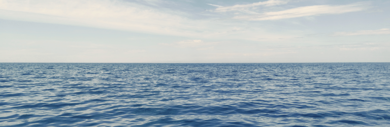 EPIRB Saves a USCG-Licensed Captain After Boat Capsizes