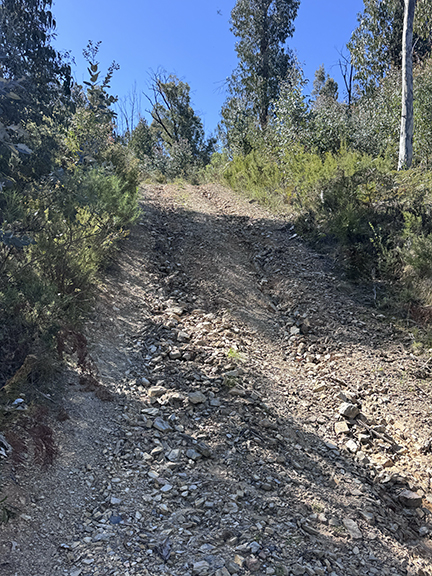 A Solo Ride Turned Survival Challenge