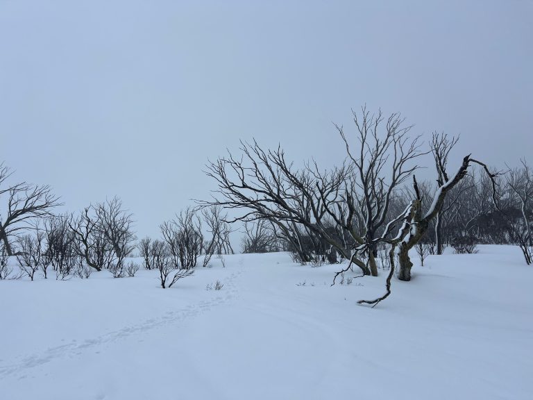 How the ACR ResQLink PLB-400 Saved Our Lives: A Real-Life Snowshoe Hike Rescue in the Australian Alps