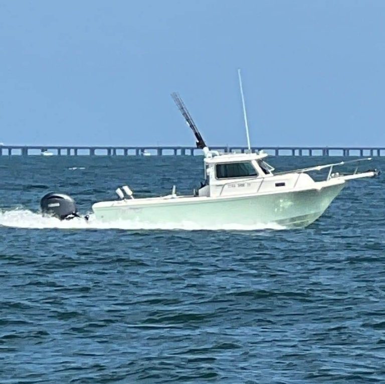 A Tragic Loss, A Life Preserved.